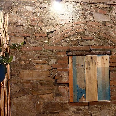 Happy Lucca Casa Vacanze المظهر الخارجي الصورة